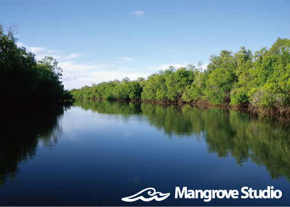 Mangrove Studio Web Site