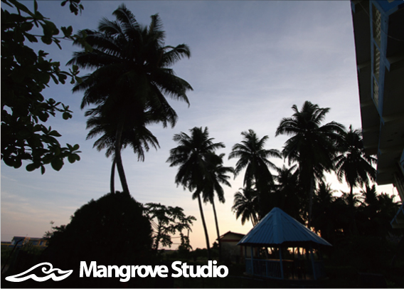Mangrove Studio Web Site